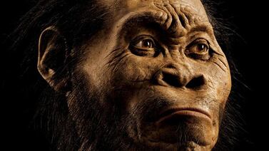 Descubierto un nuevo familiar de los humanos modernos: el 'Homo naledi'