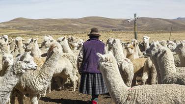 Perú declara estado de emergencia por frío y sequía en los Andes 