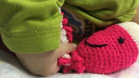 Pulpos de algodón acompañan a decenas de bebés en hospitales de CCSS