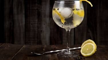 Tips para preparar Gin Tonic en casa