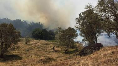 Fuego afecta 6   héctareas dentro de  Los Quetzales