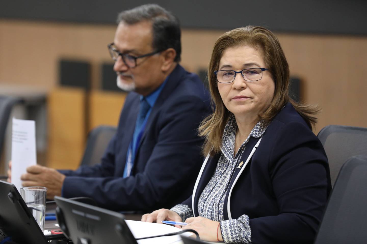 Ada Acuña, diputada del PPSD, junto con su asesor.