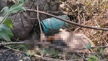 Dos cuerpos en estado de descomposición aparecen en río Tárcoles