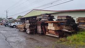 OIJ detiene dos sujetos por extraer madera ilegal en San Carlos y Sarapiquí