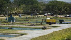   Guanacaste participa poco en  exportación de bienes del  país