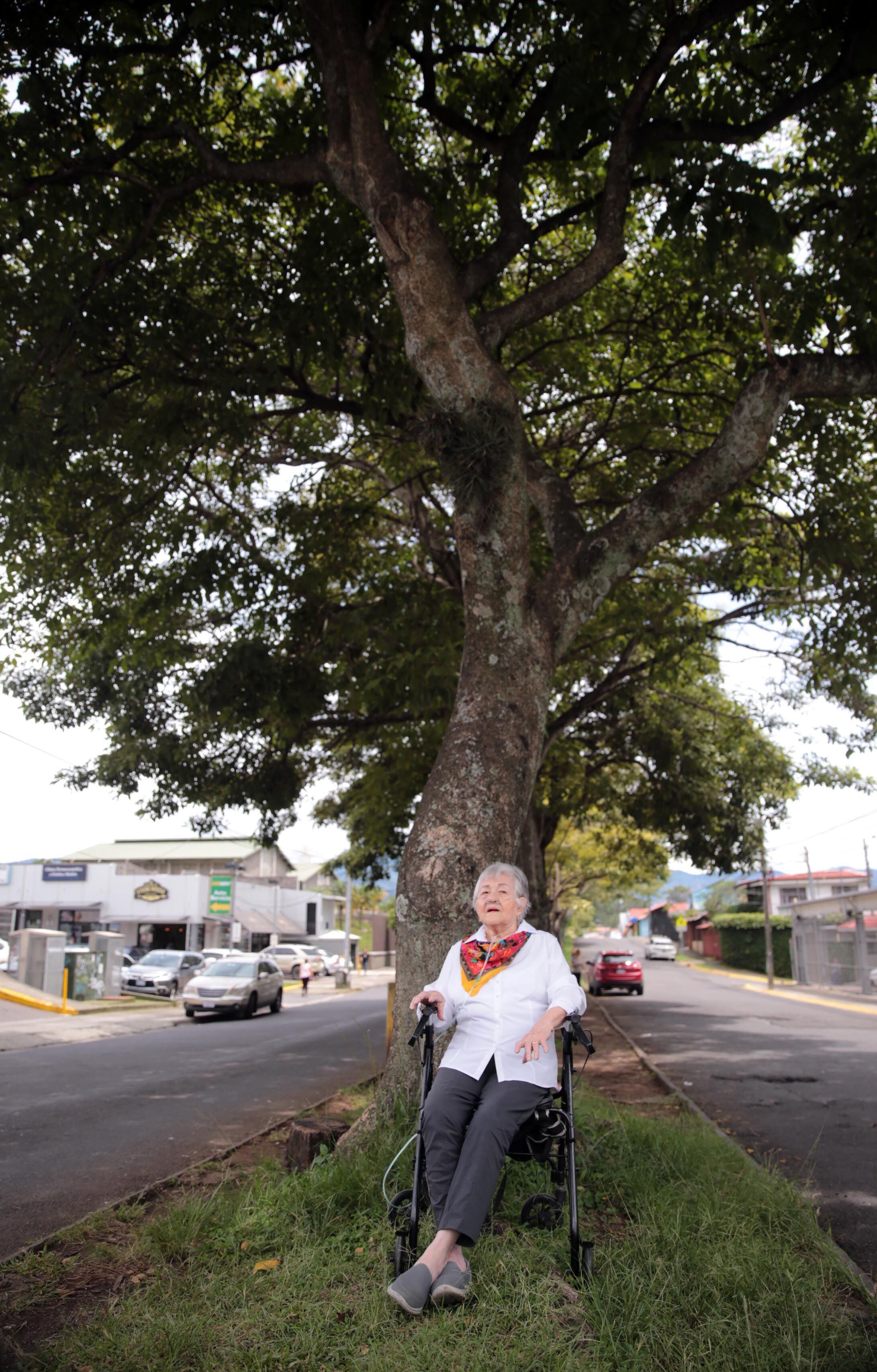 Doña Nydia Palma Rodríguez posa orgullosa con su árbol, especie que sembró en la entrada del bulevar de El Bosque, en San Franciso de Dos Ríos, en San José.
