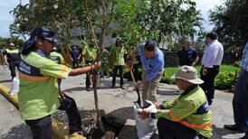 San José   tendrá 2.500 nuevos árboles