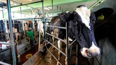 Exportaciones de leche bajan de ritmo influidas por menor demanda de Panamá 