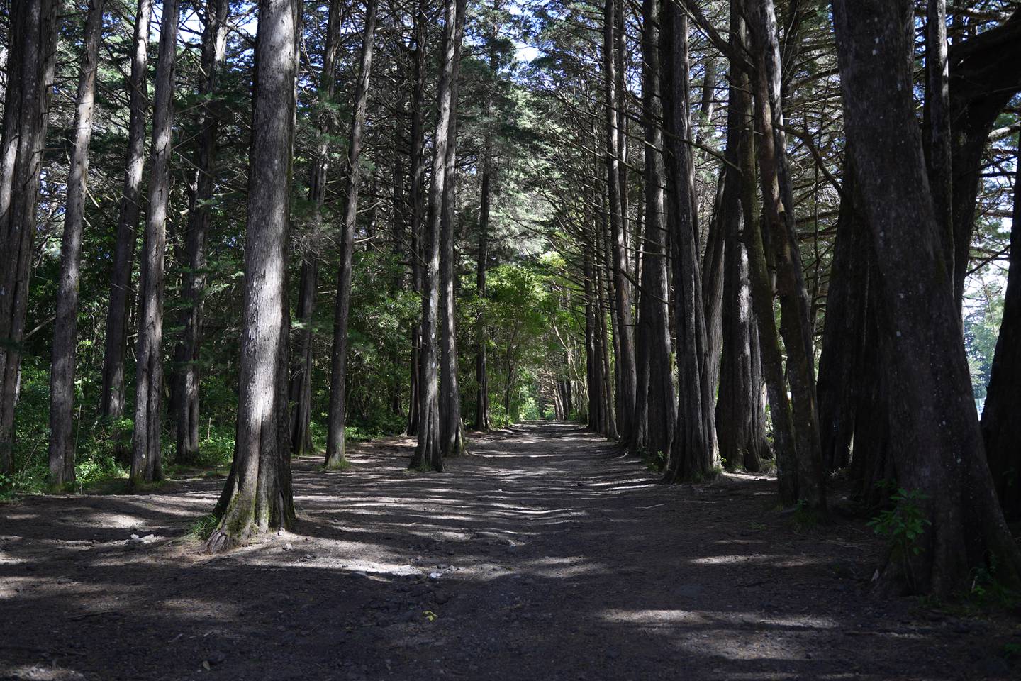 El Bosque de la Hoja está a solo 30 minutos del centro de Heredia y cuenta con más de 40 hectáreas de terreno (Foto: Municipalidad de Heredia)
