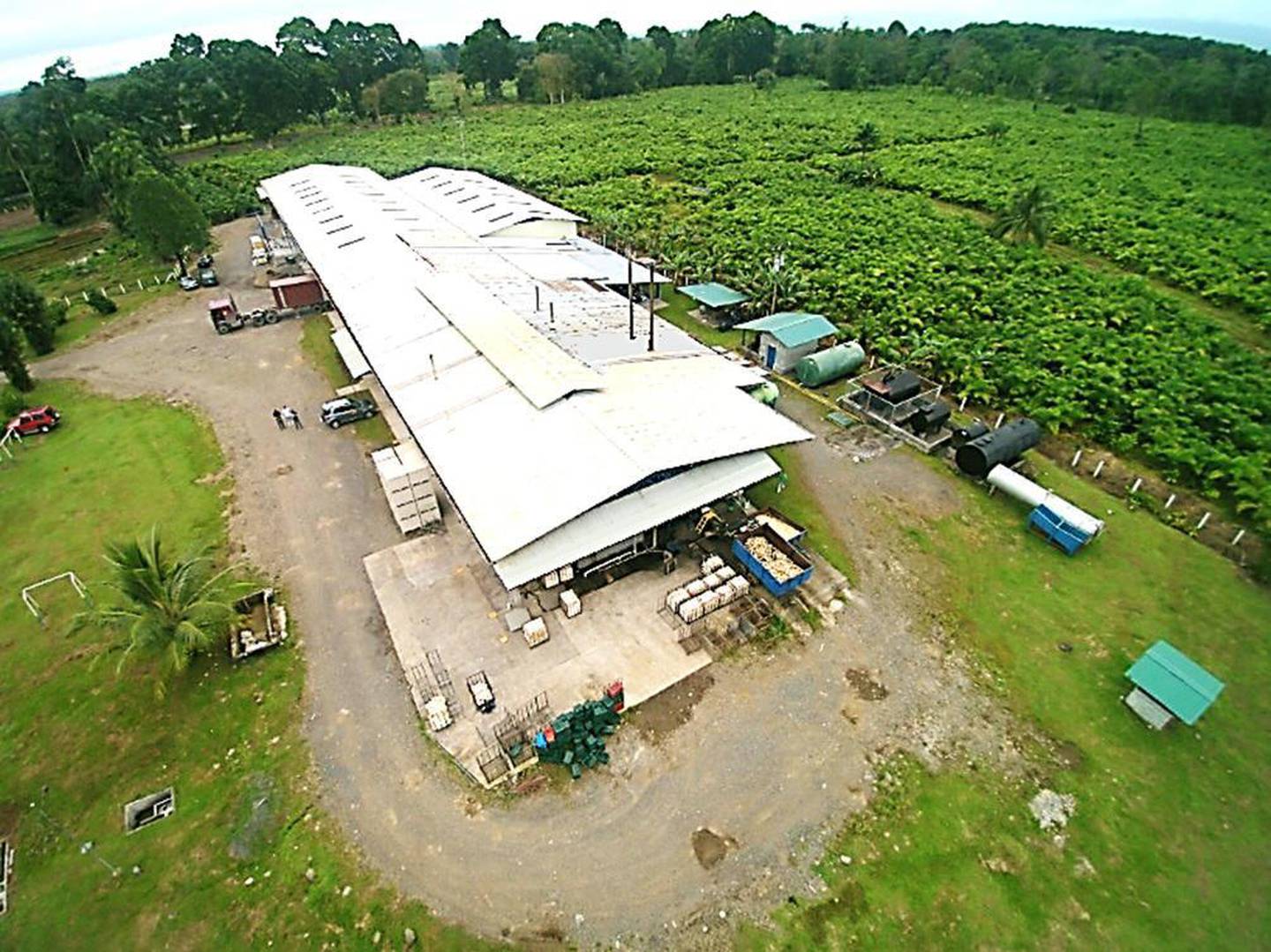 La empresa Montaña Azul tiene plantaciones propias de palmito, compra a productores y posee una planta industrial. La firma aseguró que hay escasez de materia prima. Foto: Cortesía