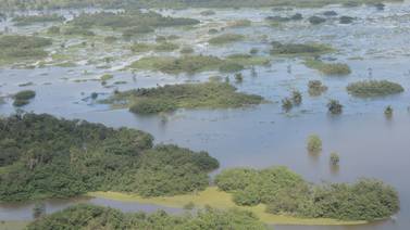 Costa Rica se compromete a rehabilitar humedales como arma ante cambio climático