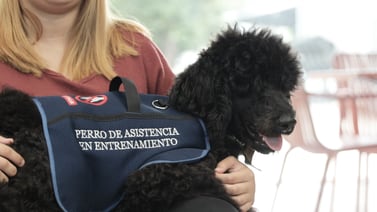 ¿Qué representa la compañía de un perro de asistencia para un estudiante autista?  