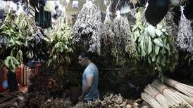Científicas de Costa Rica ponen a prueba el poder de las plantas medicinales