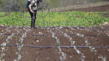 Nueva ‘app’ permite a agricultores ticos monitorear terrenos vía satélite y ganar más dinero