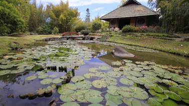 Jardín Botánico Lankester anuncia reapertura con estrictas medidas de higiene y distanciamiento 