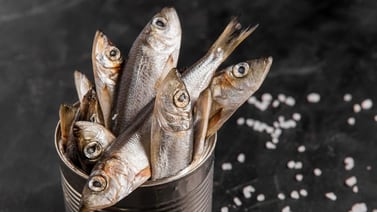 Harvard revela que las sardinas en lata son saludables