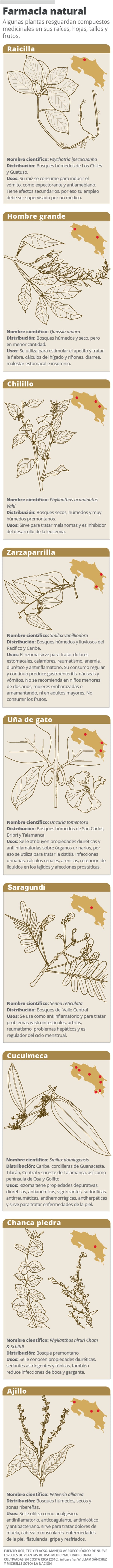 Cientificas De Costa Rica Ponen A Prueba El Poder De Las Plantas