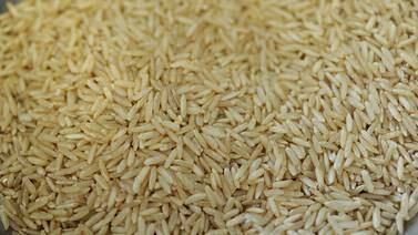 Precio del kilo de arroz sube ¢12 este viernes