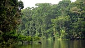 Costa Rica  se alía a latinos y a naciones con bosques en cumbre del clima 