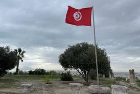 La curiosa visita a las ruinas de Cartago en Túnez