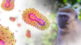 Descartan viruela del mono en turista noruega de visita en Costa Rica