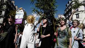 Francia tipificará graves daños al ambiente como ‘delito de ecocidio’