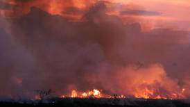 ¿Importa menos el incendio en el Amazonas que en Notre Dame?