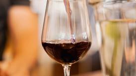 Wine Picnic 2024: Un fiesta para los sentidos en Campo Lago