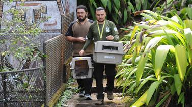 Minae, Senasa y UNA retiraron animales en cautiverio del zoológico Simón Bolívar este sábado