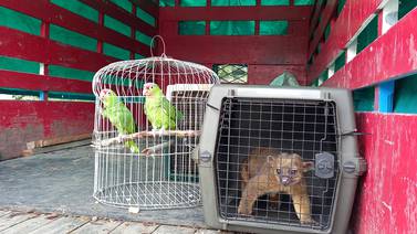 Siete animales murieron luego de ser trasladados del Simón Bolívar al Zoo Ave