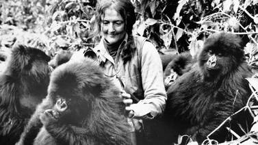 Página Negra: Dian Fossey, la mujer que susurraba a los gorilas
