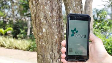 Aprenda a identificar árboles de Costa Rica con la ‘app’ eFlora