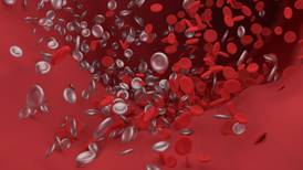 Descubra siete mitos sobre la hemofilia: una enfermedad que afecta a más de 300.000 personas en el mundo