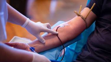 Costa Rica tiene un faltante de más de 1.000 donantes de sangre al año
