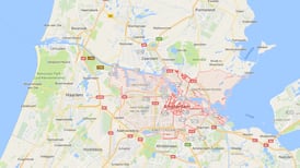 Detienen tres españoles en Ámsterdam por transportar más de 250 reptiles en maletas