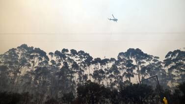 Australia decreta estado de emergencia por incendios en el sudeste del país