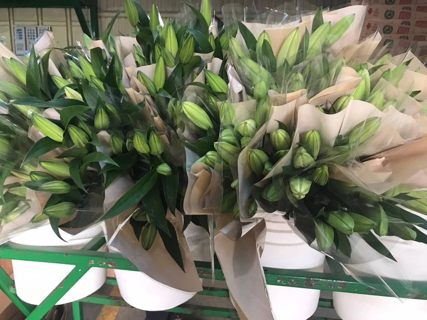 La exportación de flores es uno de los sectores que se beneficiará con la agilización de trámites y la mayor seguridad. Foto: Cortesía SFE