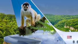 Mono ardilla de Costa Rica surcará los aires en la cola de un avión de la aerolínea Frontier