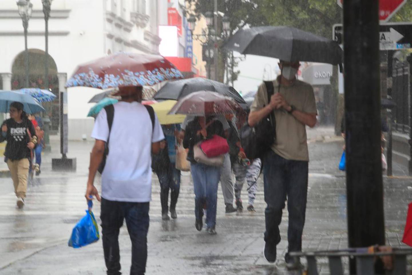 Setiembre es de los meses más lluviosos del año. Esta semana se esperan precipitaciones entre moderadas y fuertes en las tardes y primeras horas de la noche, dice el IMN, Foto: Rafael Pacheco.