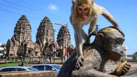 La ciudad de Tailandia donde mandan los monos 