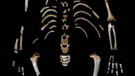 Cráneo de niño neandertal creció igual a los de niños modernos