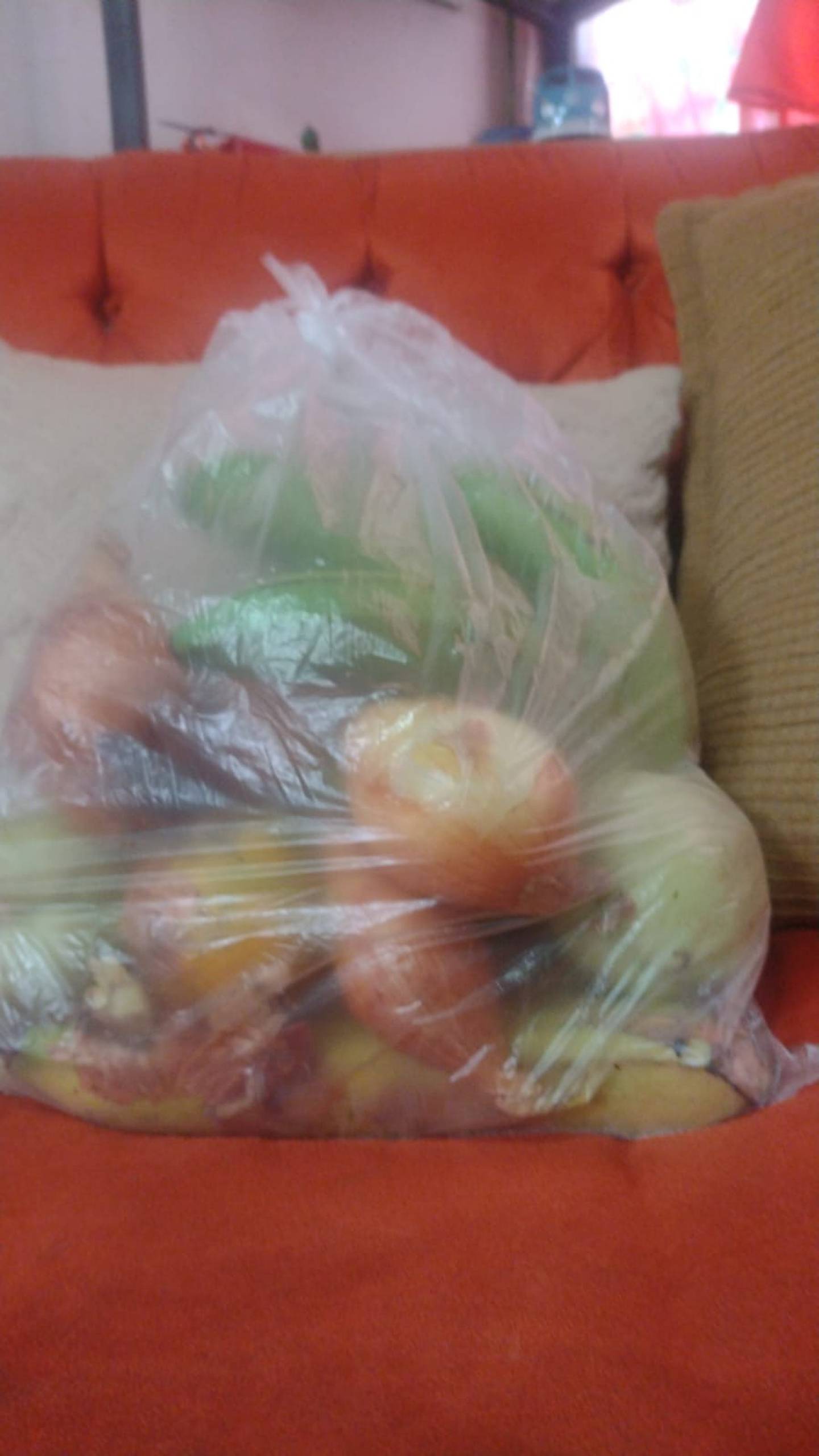 Este jueves dos de mayo, más de un mes después de que algunos estudiantes recibieran una bolsa con un paquete de arroz y frijoles, entre otros alimentos, los niños recibieron solamente estas frutas y verduras. Foto: Cortesía