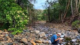 Del páramo al bosque seco: estudio exploró cómo ‘toman agua’ las plantas en Costa Rica