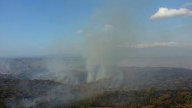 Sinac denunció que agricultor causó incendio forestal por descuido