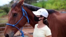 Hipoterapia: los caballos como herramienta terapéutica