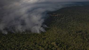 Juez ordena liberar a ambientalistas acusados de iniciar incendios en la amazonía brasileña
