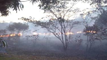 Incendio forestal ha afectado 1.000 hectáreas en Buenos Aires de Puntarenas 