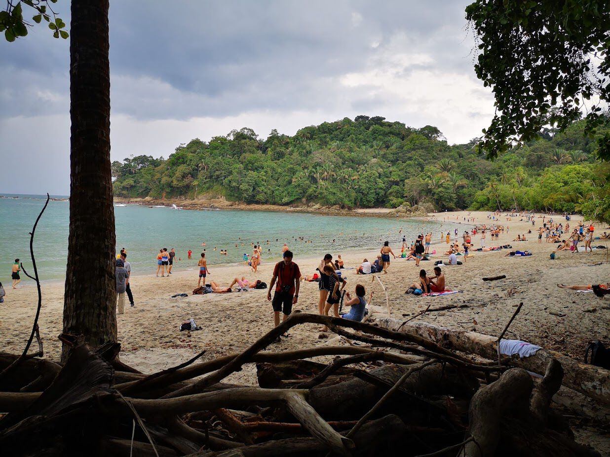Imagen de la playa del Parque Nacional Manuel Antonio en Quepos, Puntarenas en febrero del 2020. Fotografía: 