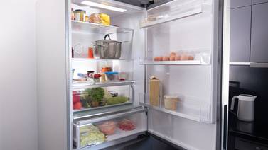 ¿Cómo afectan los cortes de luz a los alimentos en refrigeración? Le contamos cómo cuidarlos
