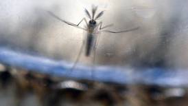 Síndrome de Guillain-Barré aumenta en países con zika